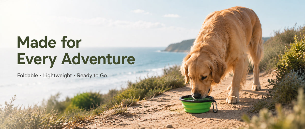 Collapsible Silicone Pet Travel Bowl for coastal walks and outdoor adventures