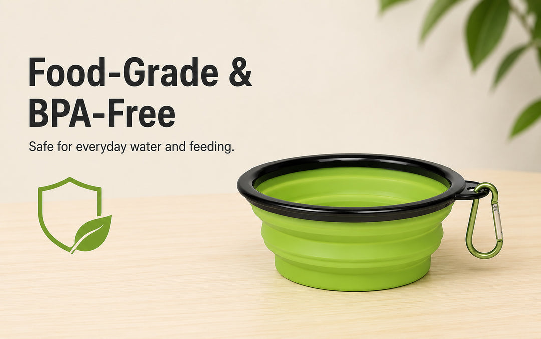 Collapsible Silicone Pet Travel Bowl made from food-grade BPA-free silicone
