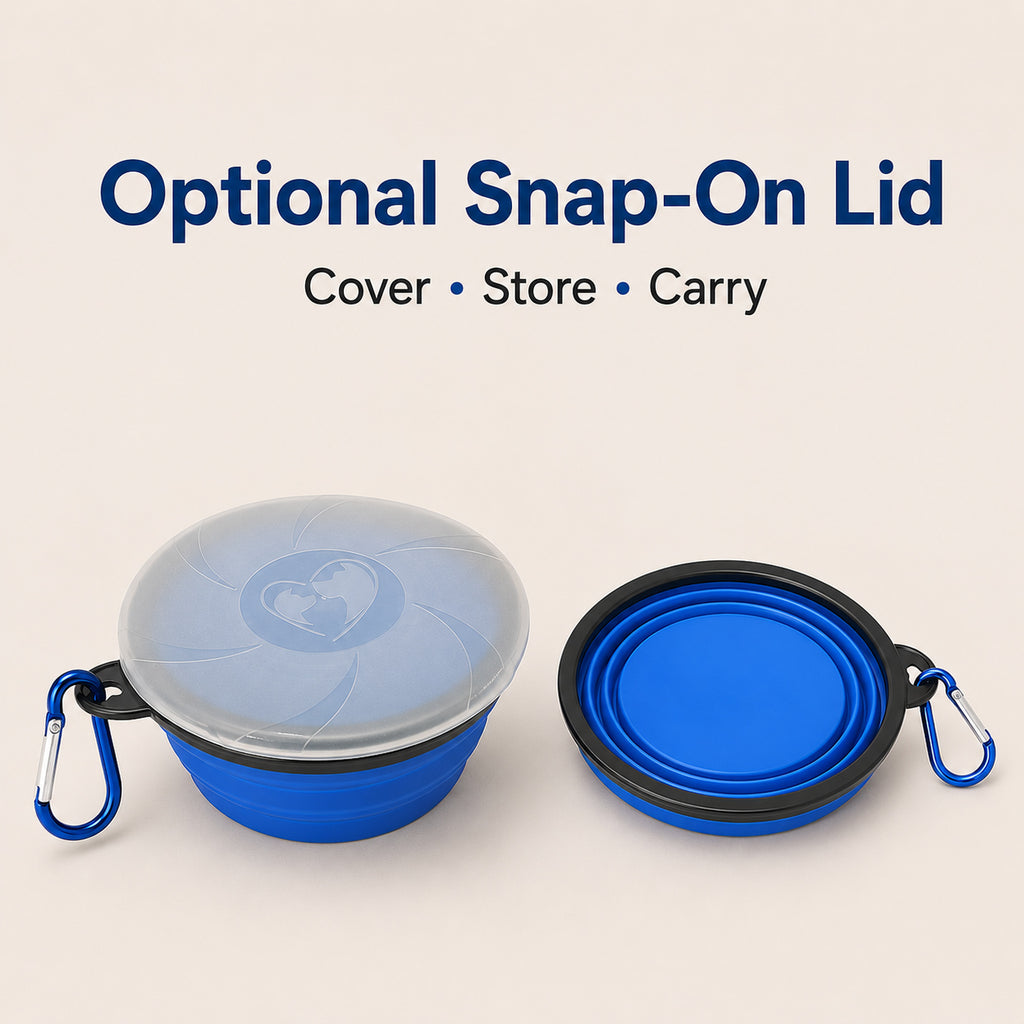 Blue Collapsible Silicone Pet Travel Bowl with Optional Snap-On Lid
