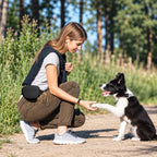 Magnetic Silicone Dog Treat Pouch with Clicker for Outdoor Dog Training