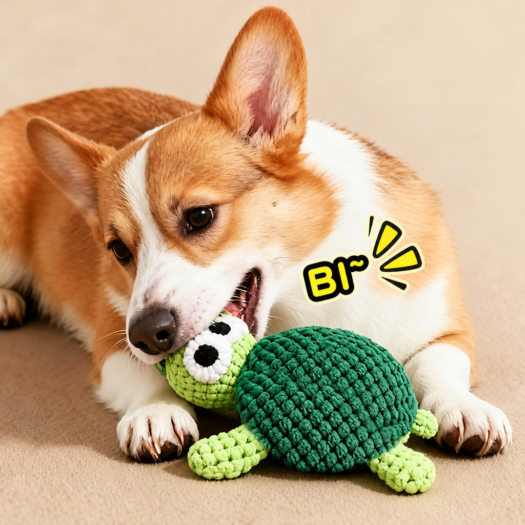 Corgi biting a turtle squeaky dog toy with built-in squeaker