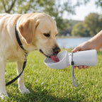 Labrador Drinking Water from a Portable Foldable Dog Water Bottle Outdoors